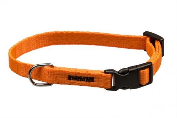 Obojek puppy nylon rozlišovací - oranžový B&F 1,00 x 18-26 cm